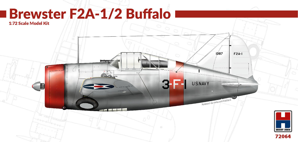 Model kit 1/72  Brewster F2A-1/2 Buffalo Hasegawa + Cartograf + Masks  (Hobby 2000)