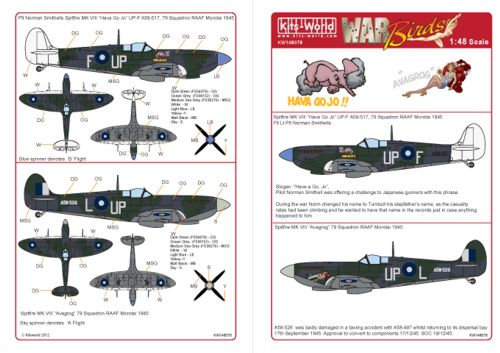 Decal 1/48 Supermarine Spitfire Mk.VIII (Kits-World)