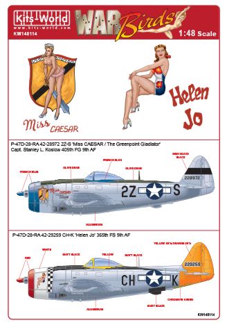 Decal 1/48 Republic P-47D-28-RA Thunderbolt (Kits-World)